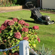 lawn mowing service in norfolk